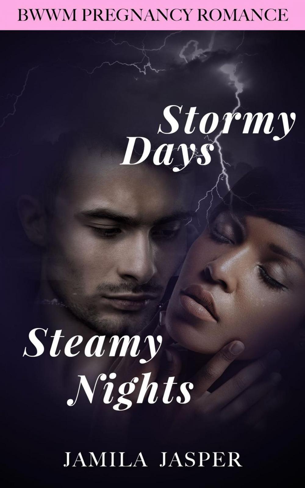 Big bigCover of Stormy Days, Steamy Nights: BWWM Romance Novel