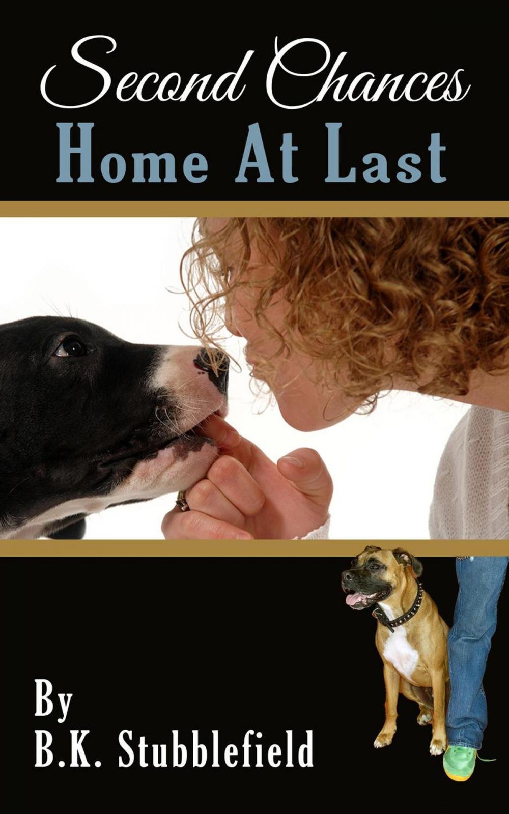 Big bigCover of Home At Last