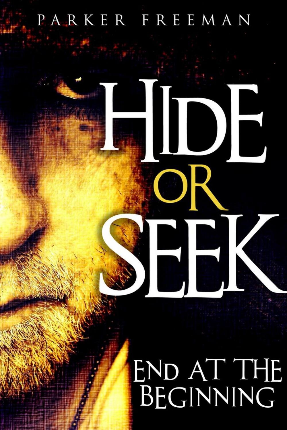 Big bigCover of Hide or Seek: End at the Beginning