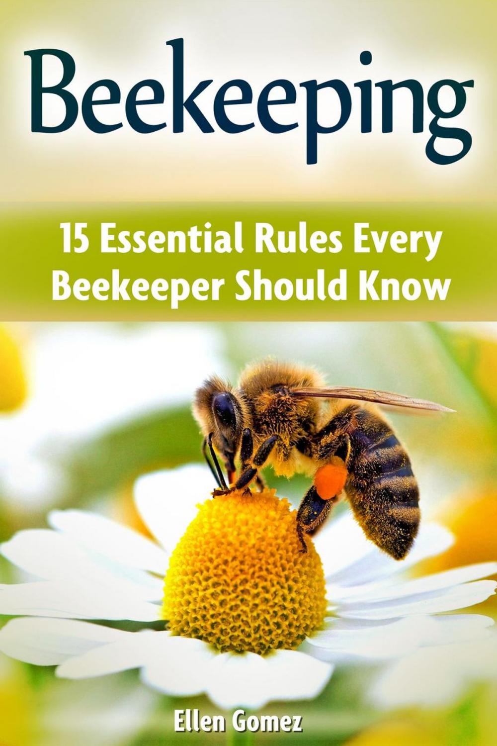 Big bigCover of Beekeeping: 15 Essential Rules Every Beekeeper Should Know