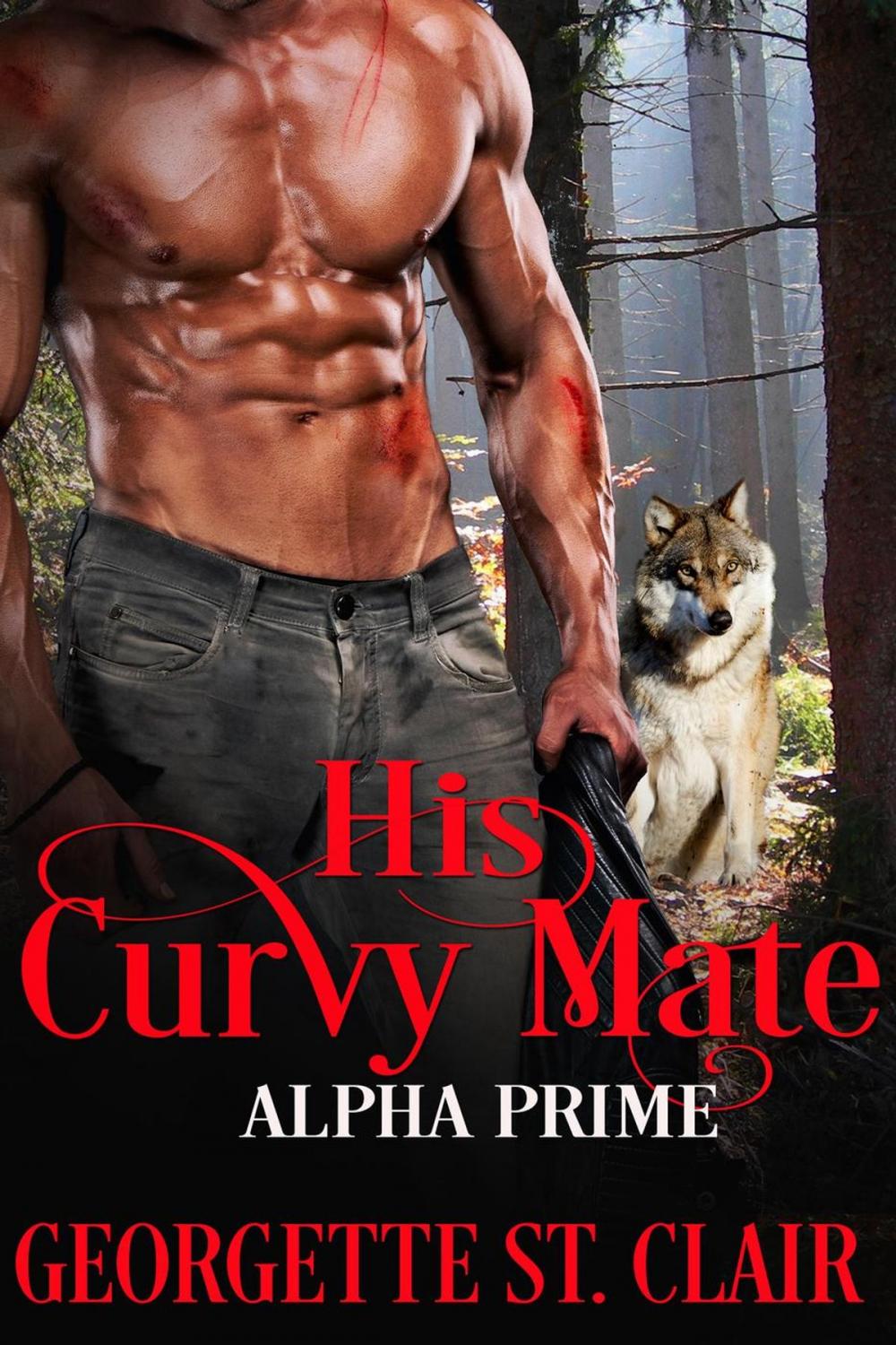 Big bigCover of His Curvy Mate