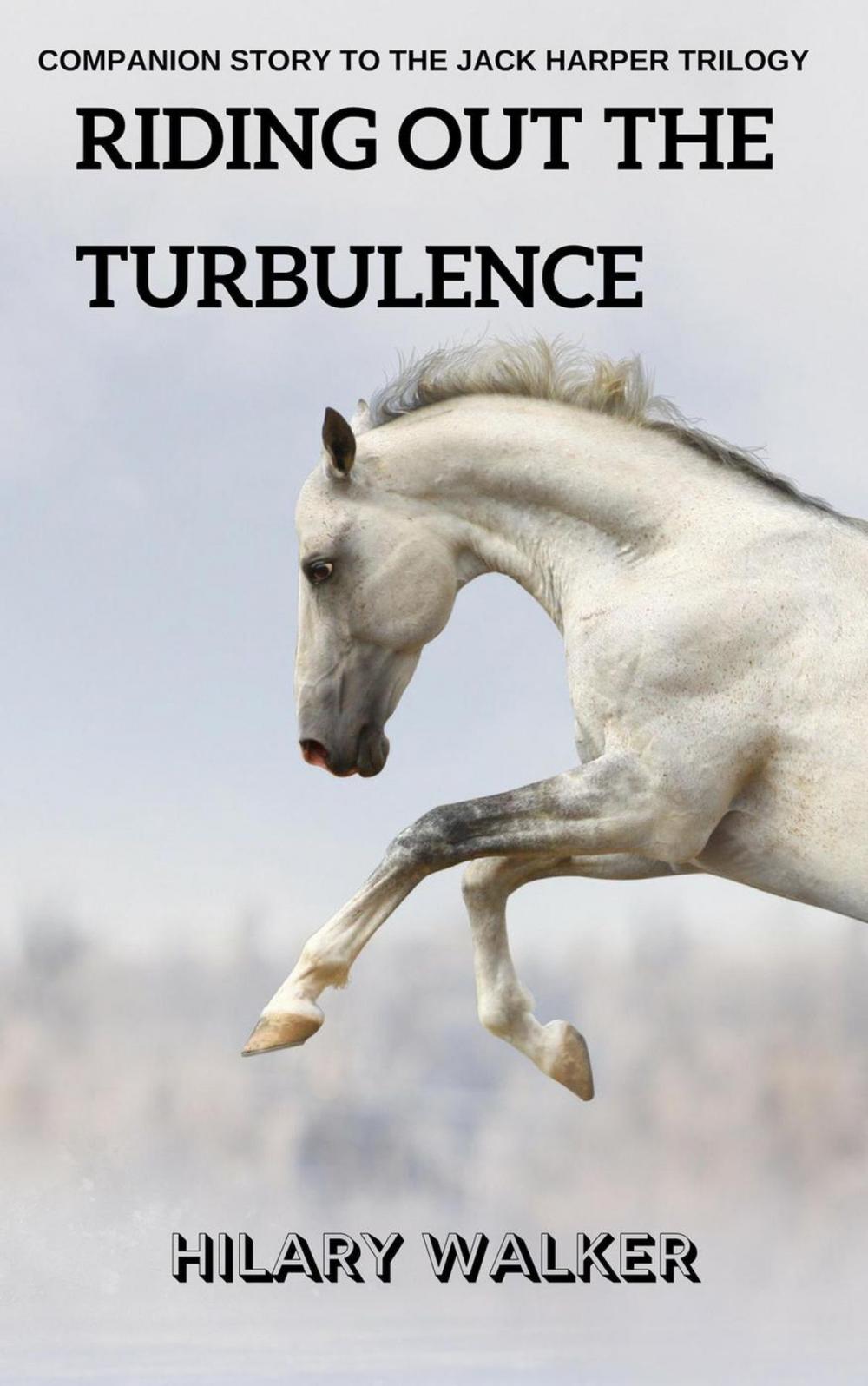 Big bigCover of Riding Out the Turbulence