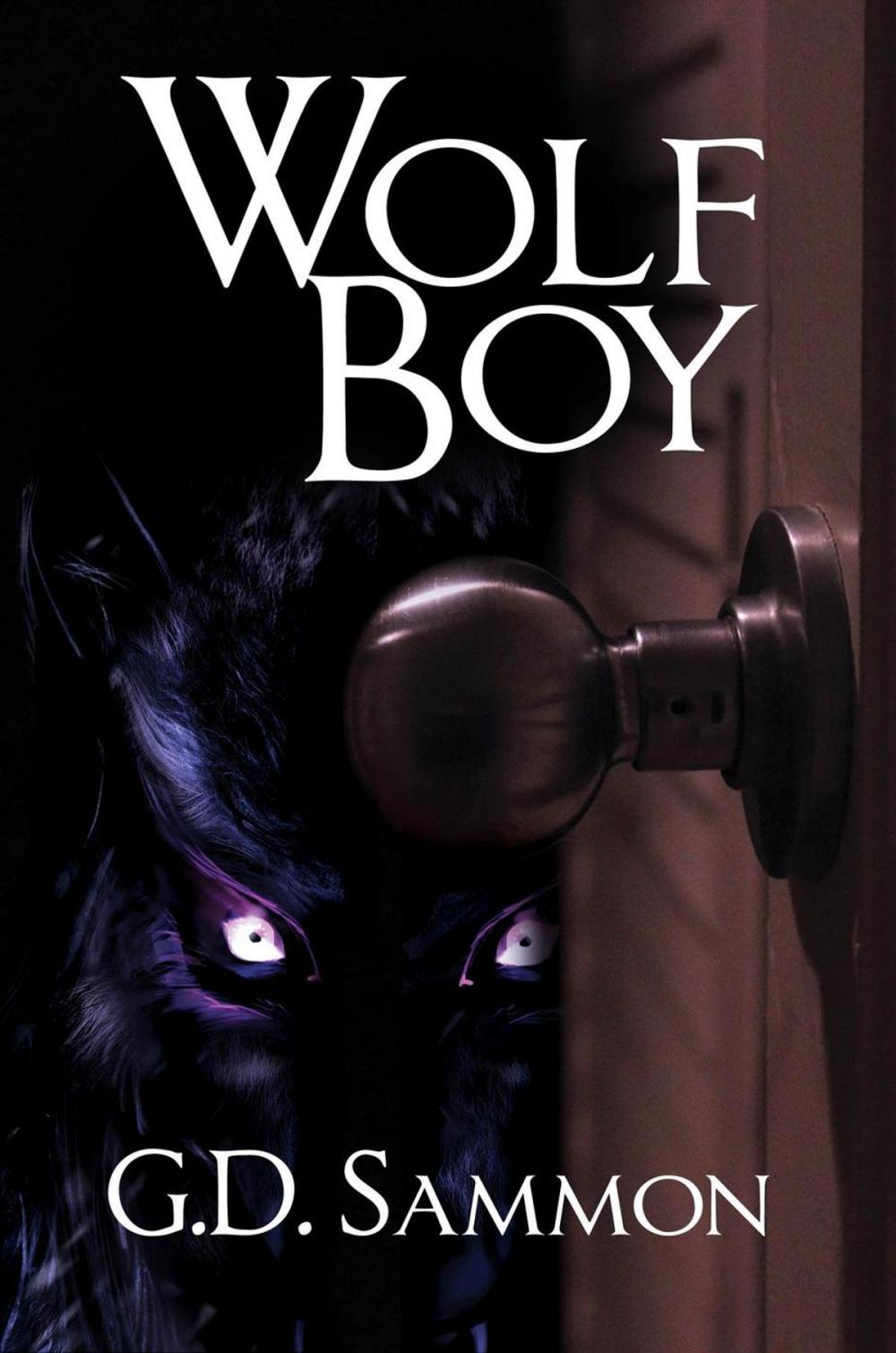 Big bigCover of Wolf Boy