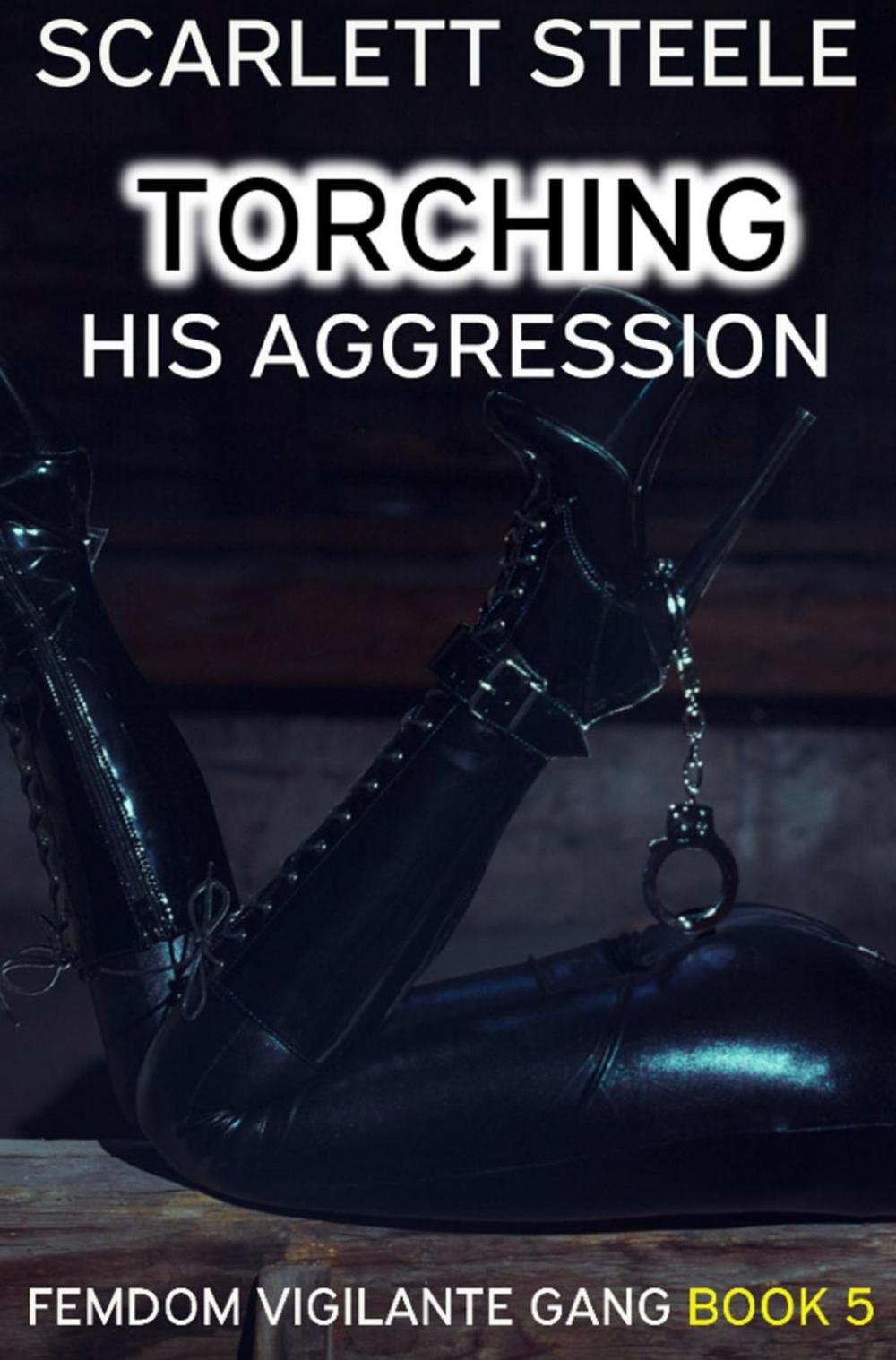 Big bigCover of Torching His Aggression