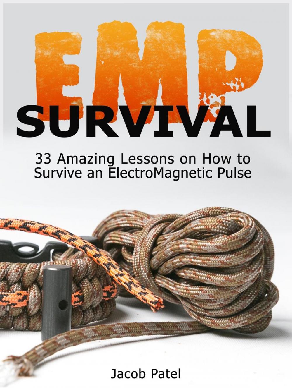 Big bigCover of Emp Survival: 33 Amazing Lessons on How to Survive an ElectroMagnetic Pulse