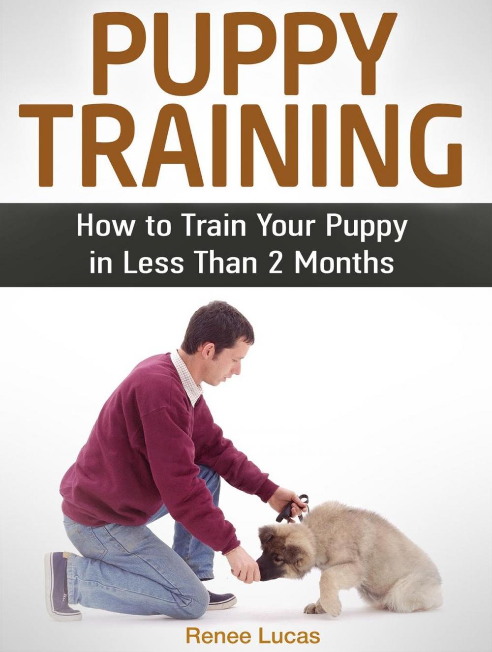 Big bigCover of Puppy Training: How to Train Your Puppy in Less Than 2 Months