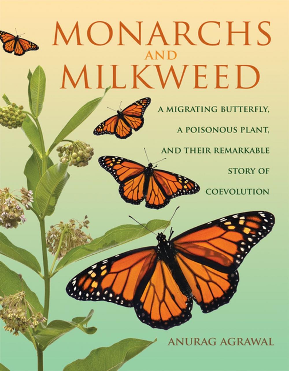 Big bigCover of Monarchs and Milkweed