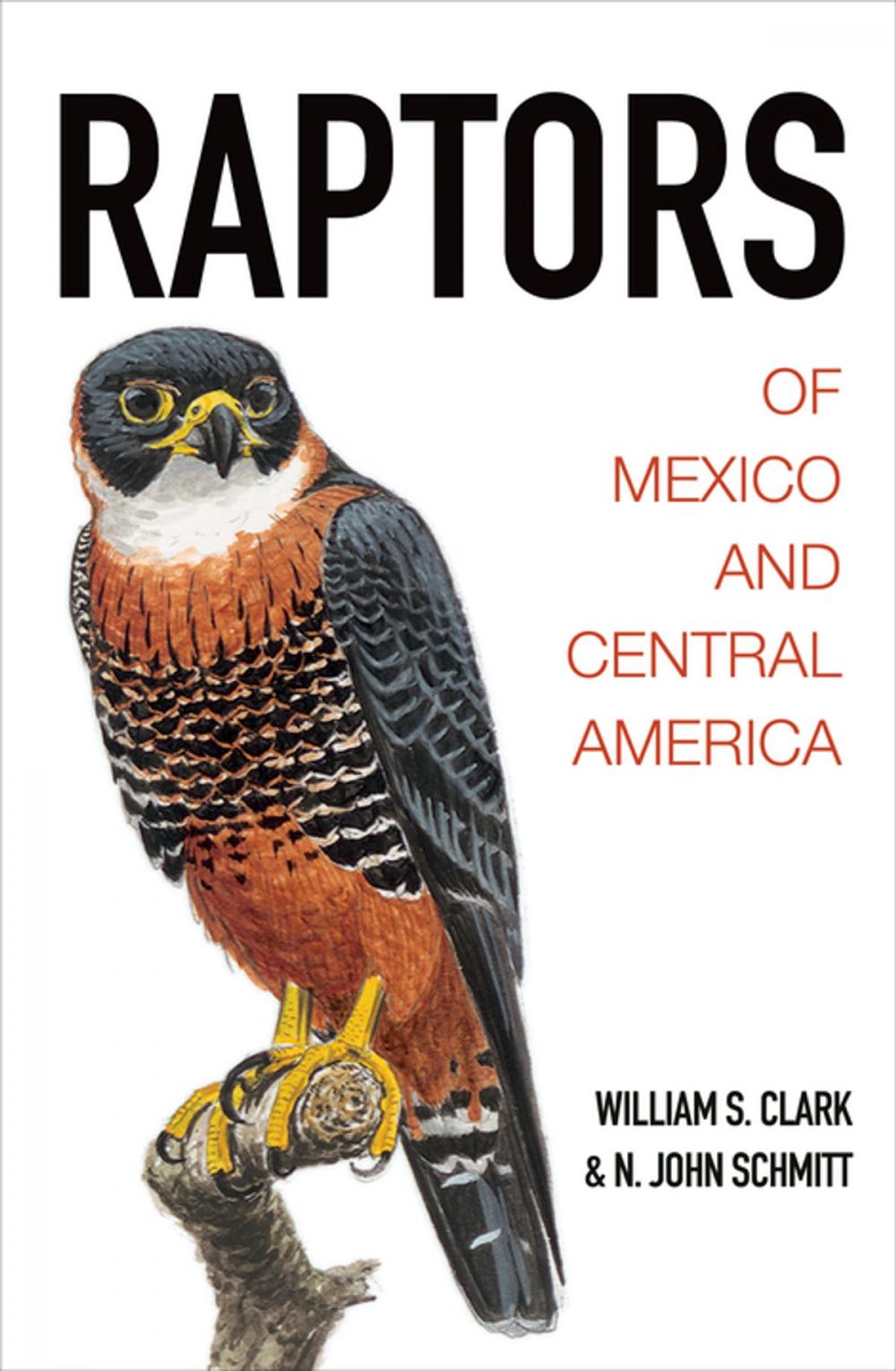 Big bigCover of Raptors of Mexico and Central America