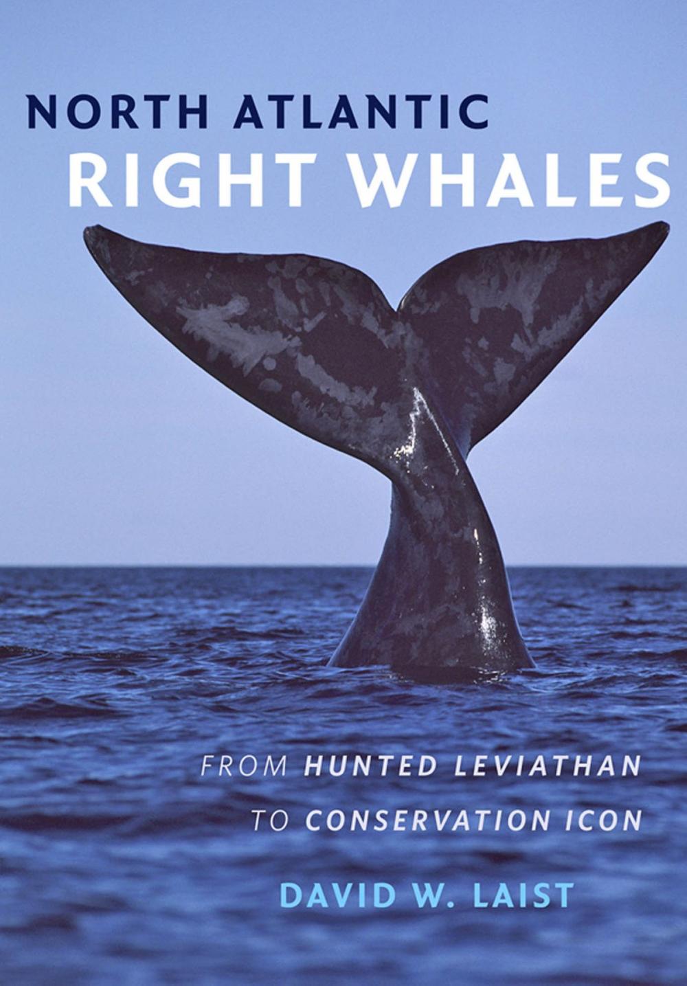 Big bigCover of North Atlantic Right Whales