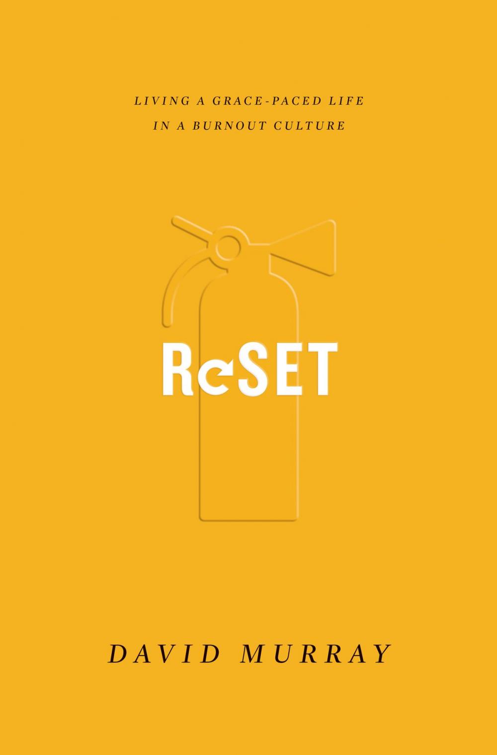 Big bigCover of Reset