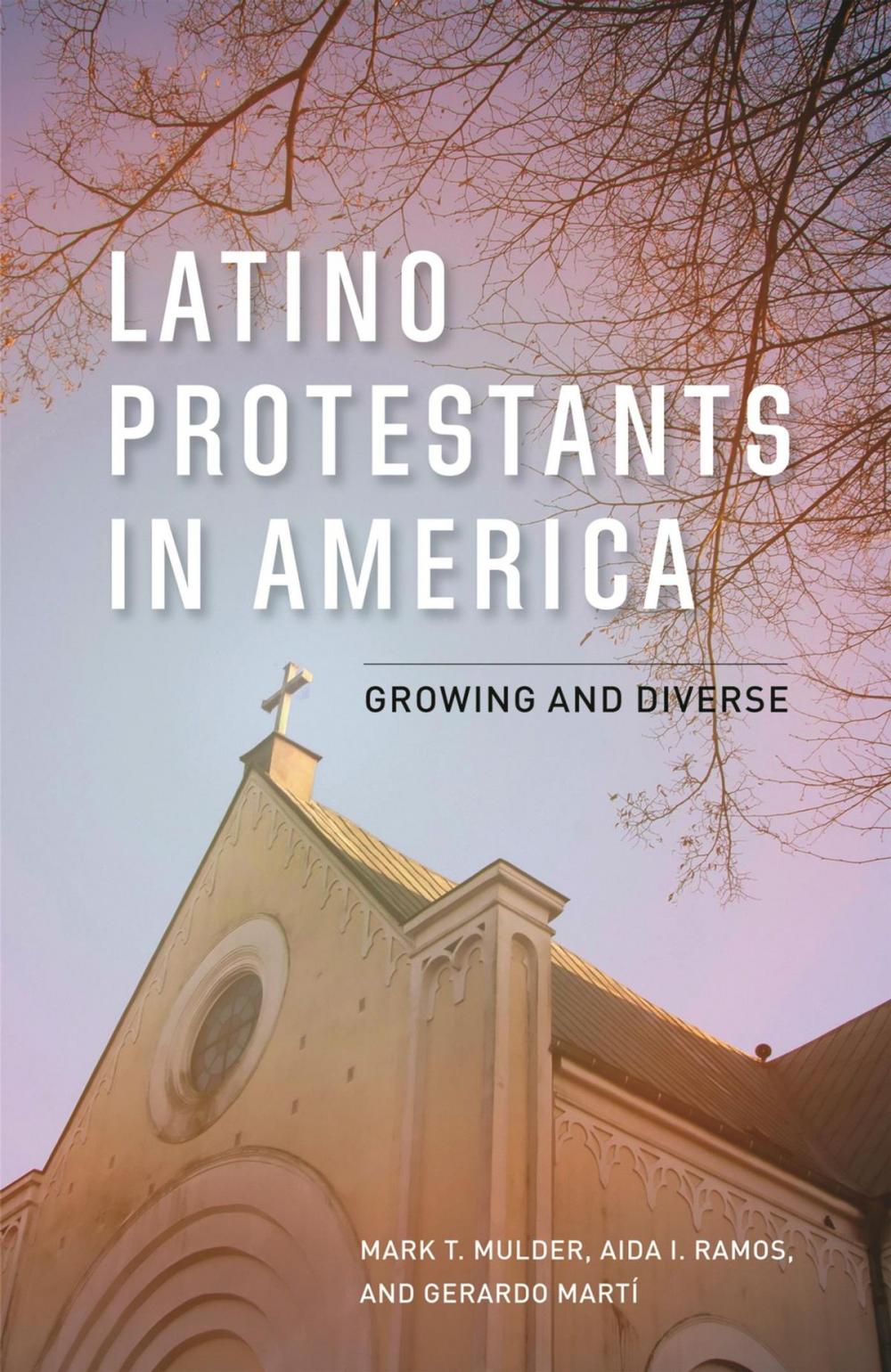 Big bigCover of Latino Protestants in America