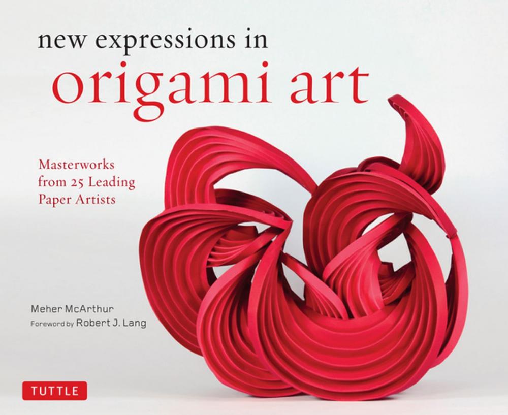 Big bigCover of New Expressions in Origami Art