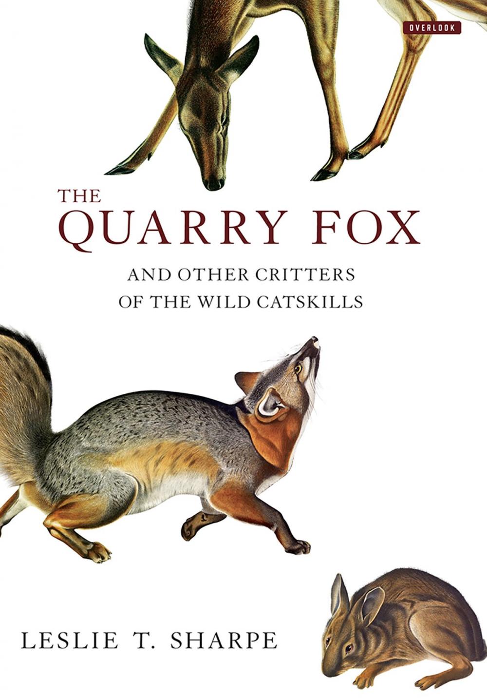 Big bigCover of The Quarry Fox