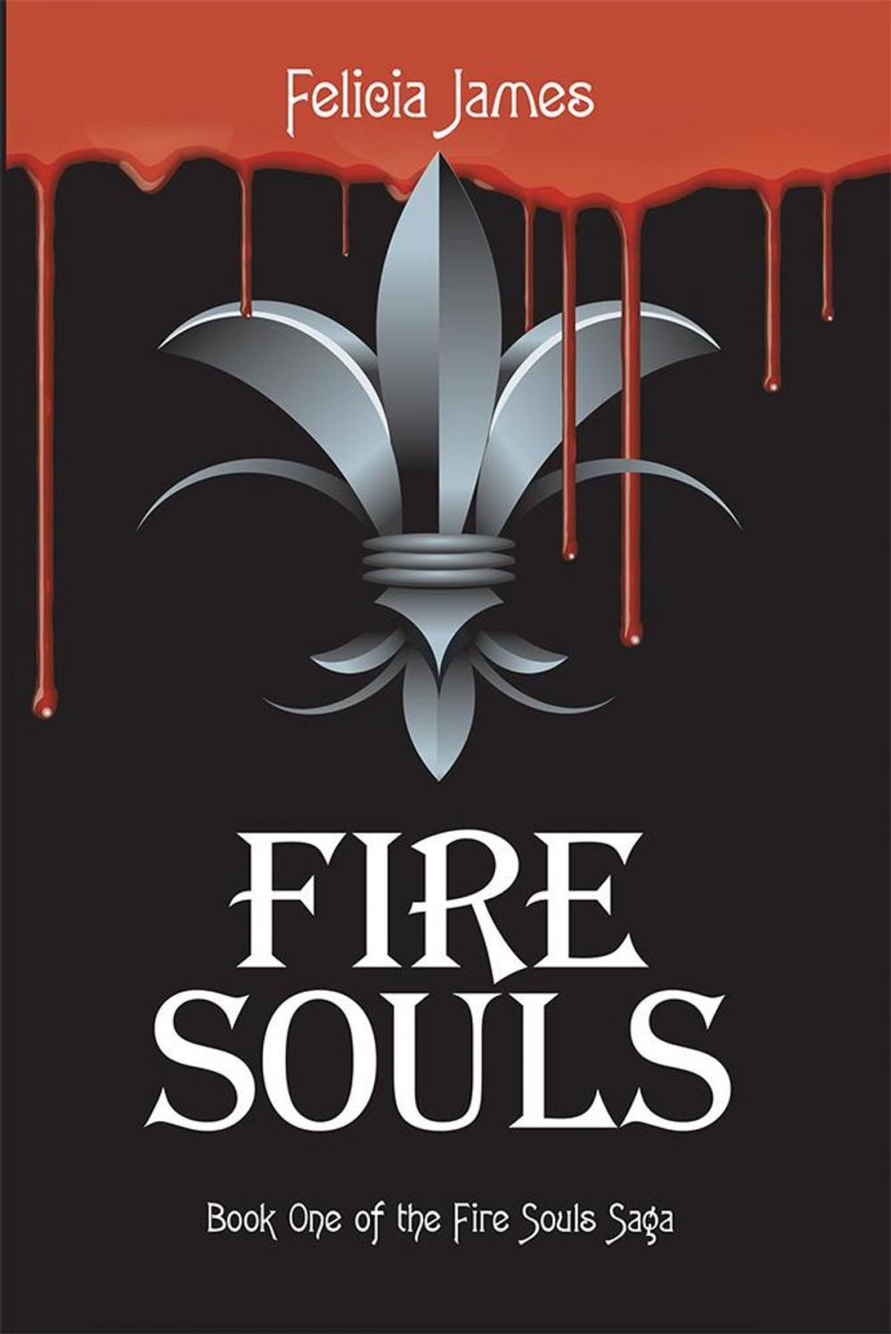 Big bigCover of Fire Souls