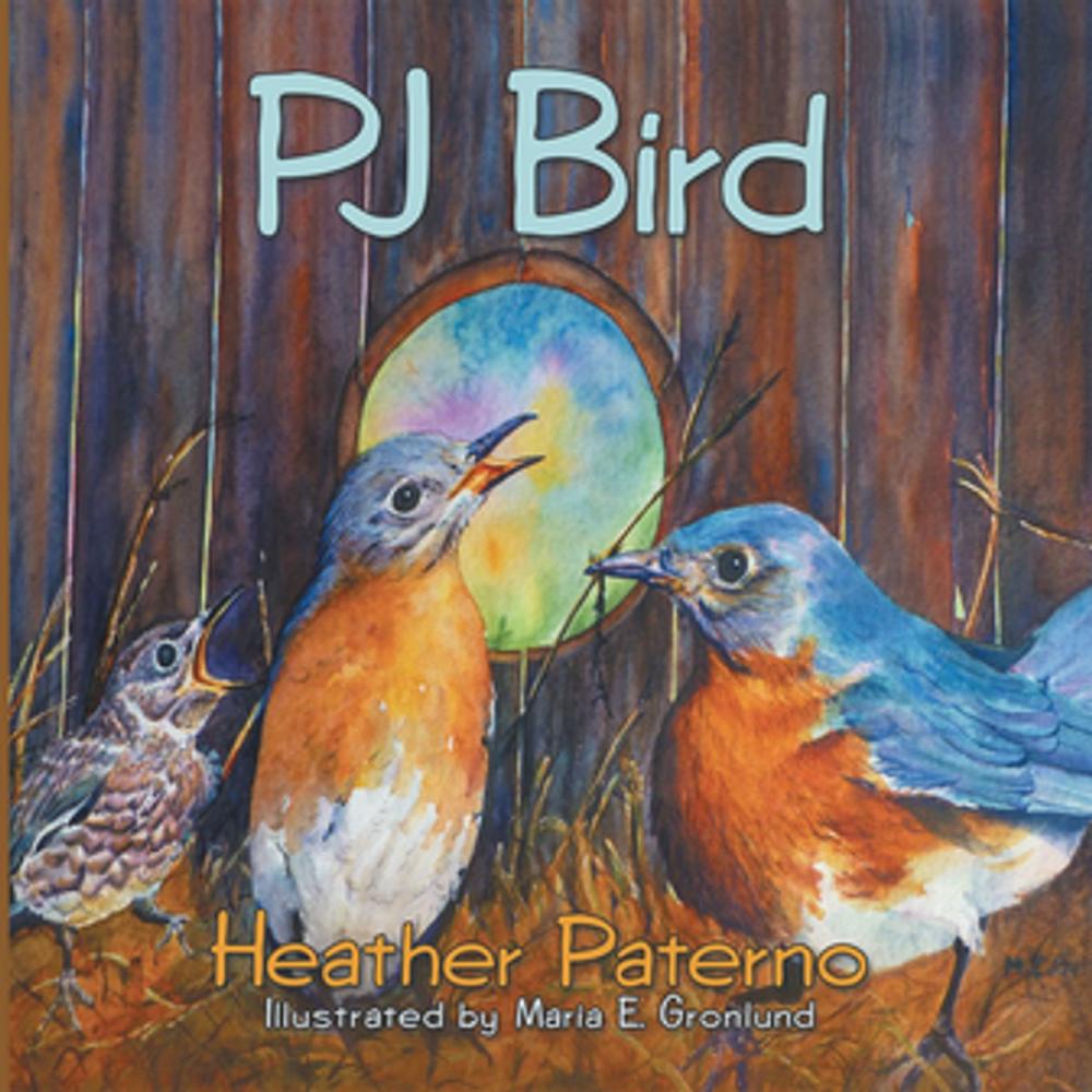 Big bigCover of Pj Bird