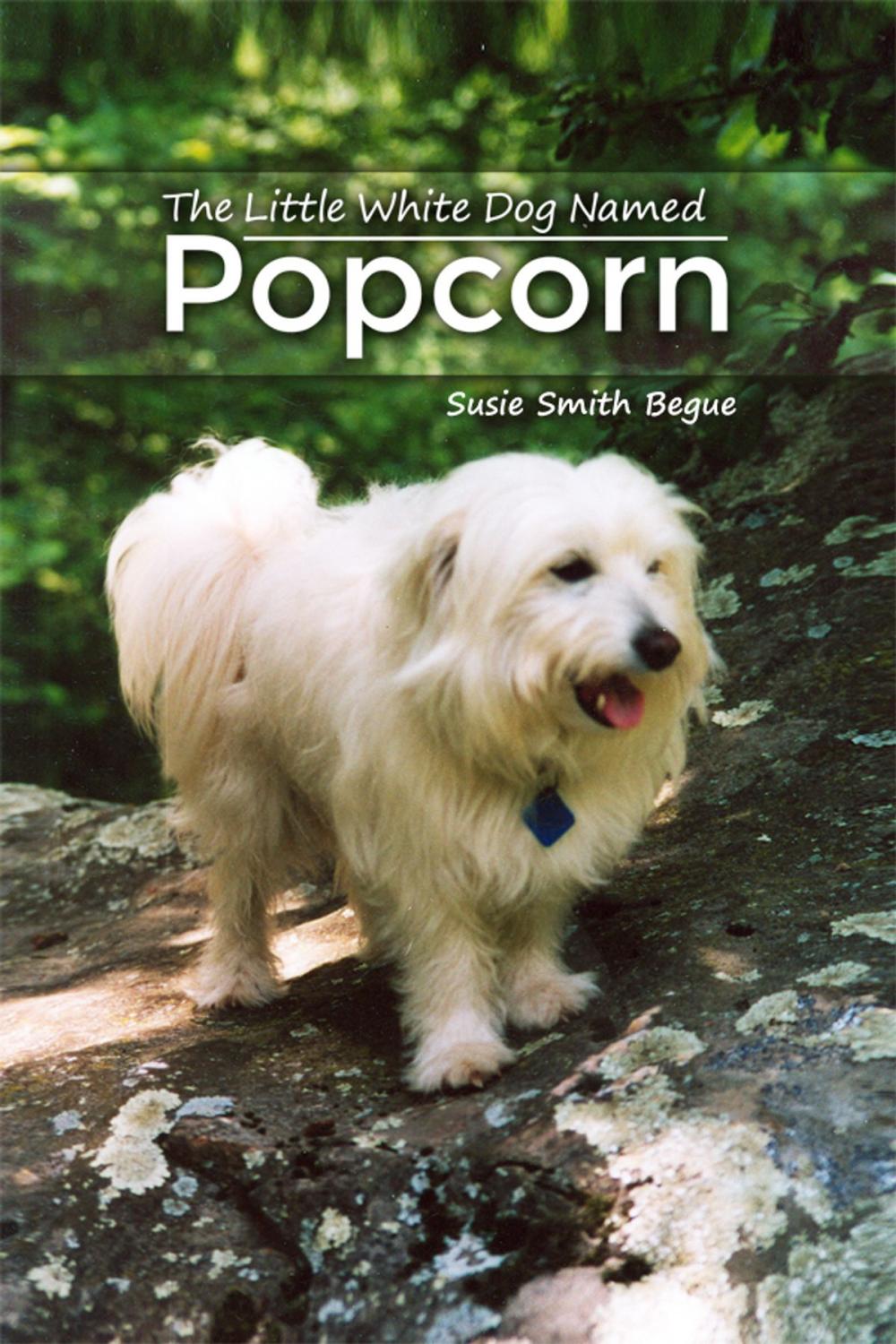 Big bigCover of The Little White Dog Named Popcorn