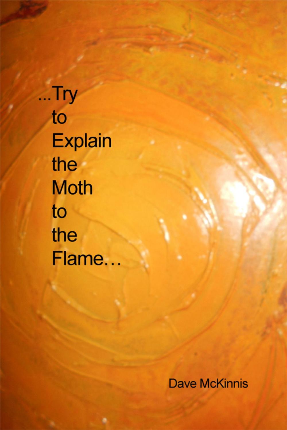 Big bigCover of ...Try to Explain the Moth to the Flame…