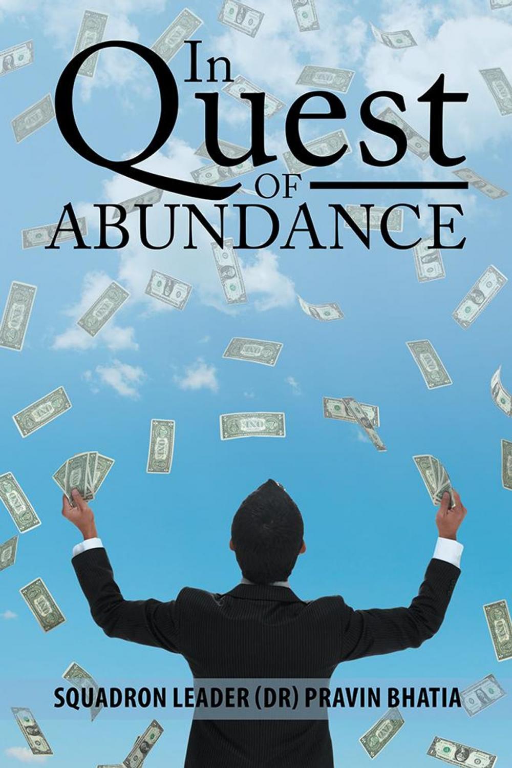 Big bigCover of In Quest of Abundance