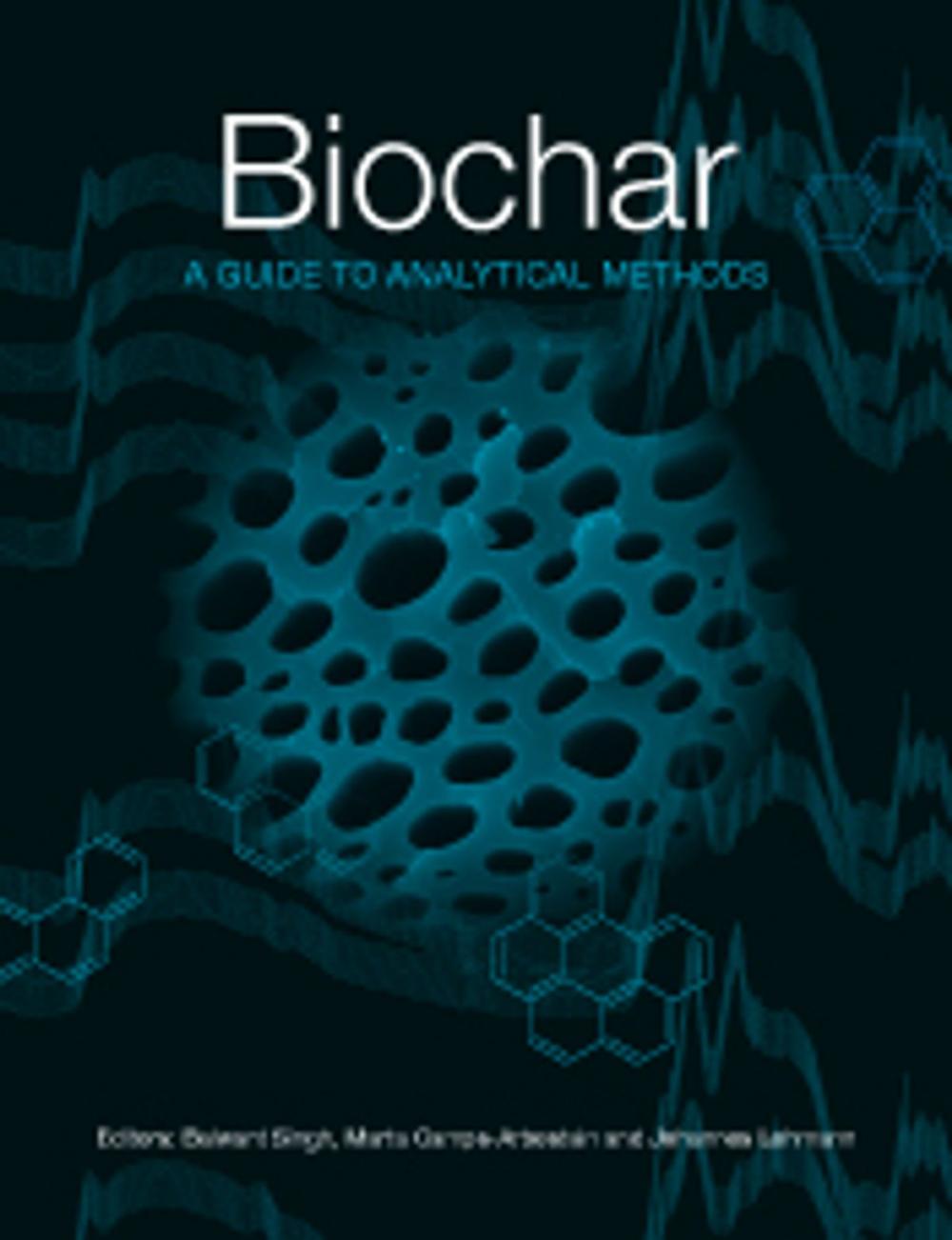 Big bigCover of Biochar