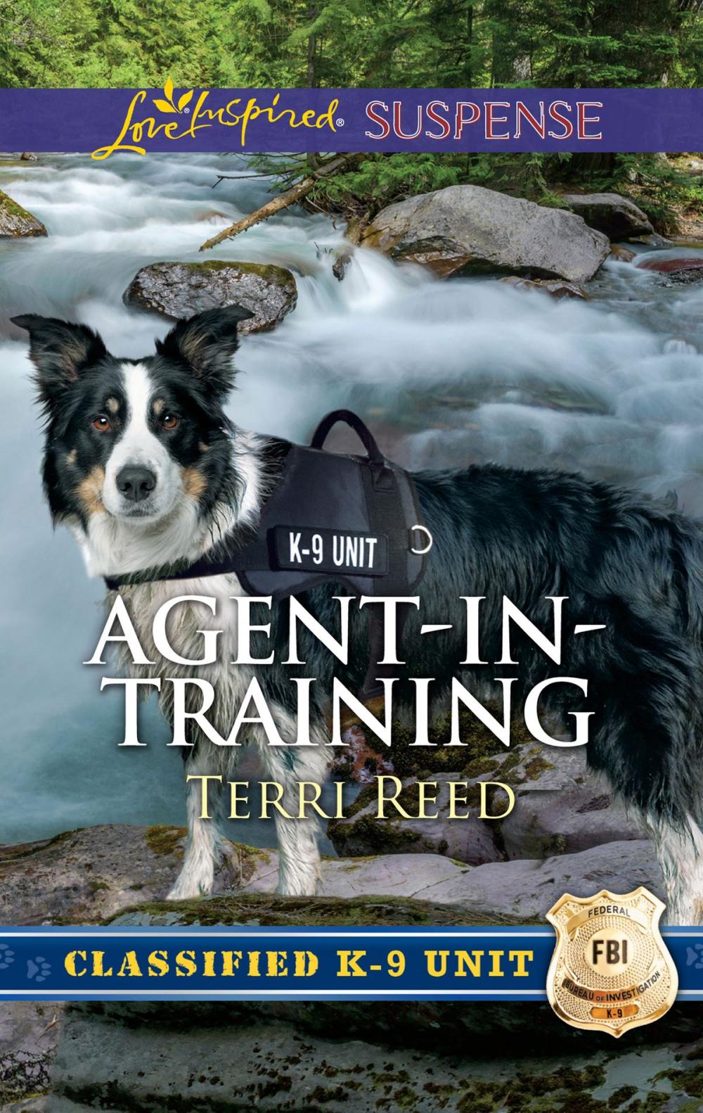 Big bigCover of Agent-in-Training