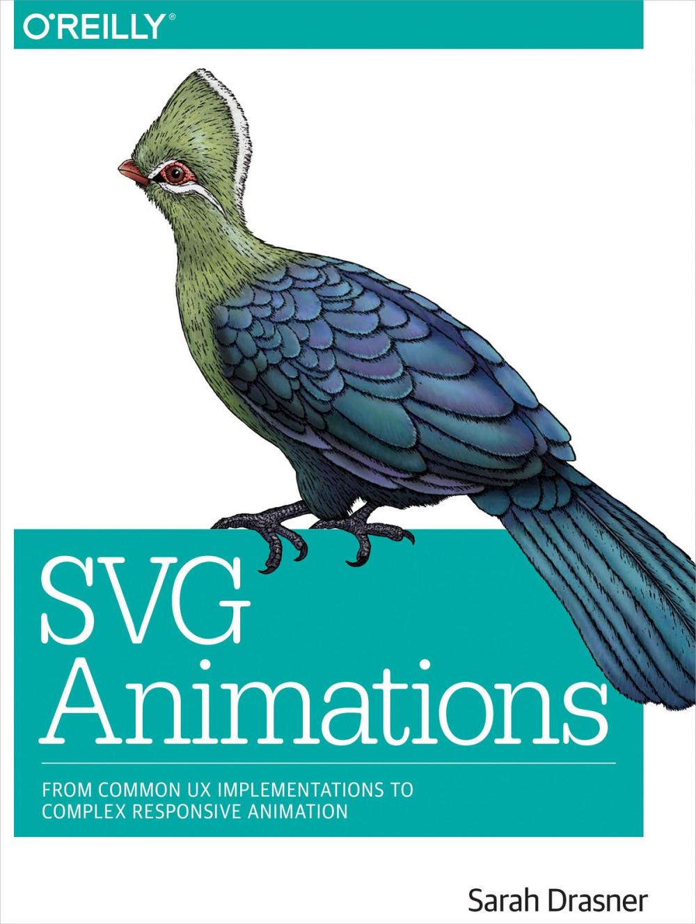 Big bigCover of SVG Animations