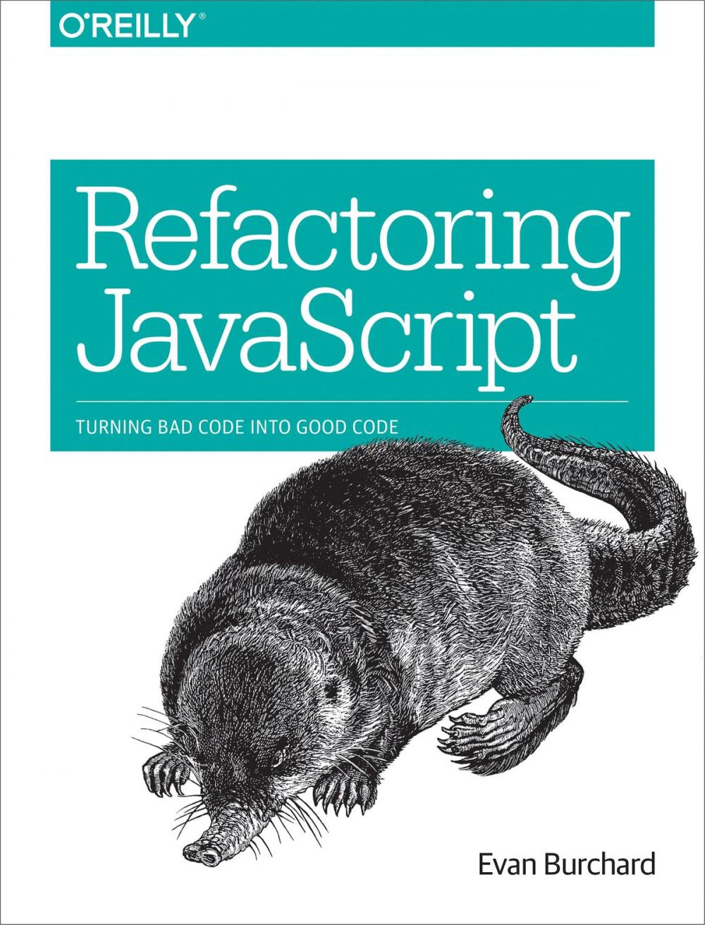 Big bigCover of Refactoring JavaScript