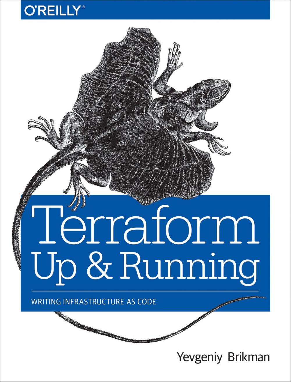 Big bigCover of Terraform: Up and Running