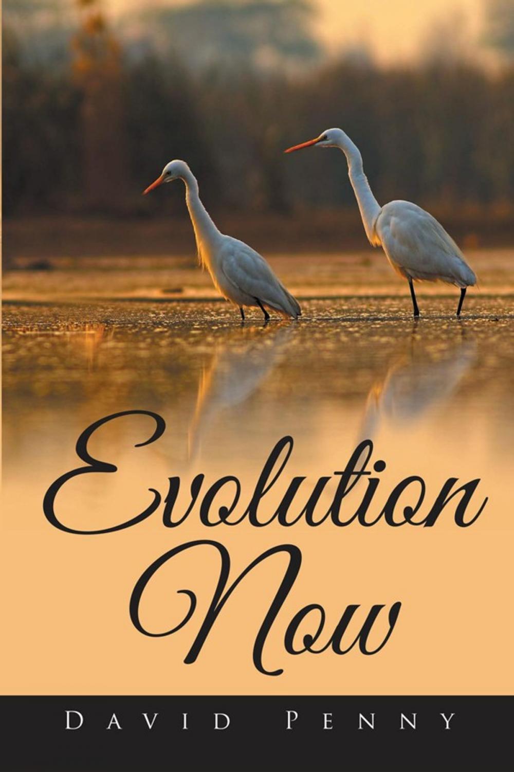 Big bigCover of Evolution Now