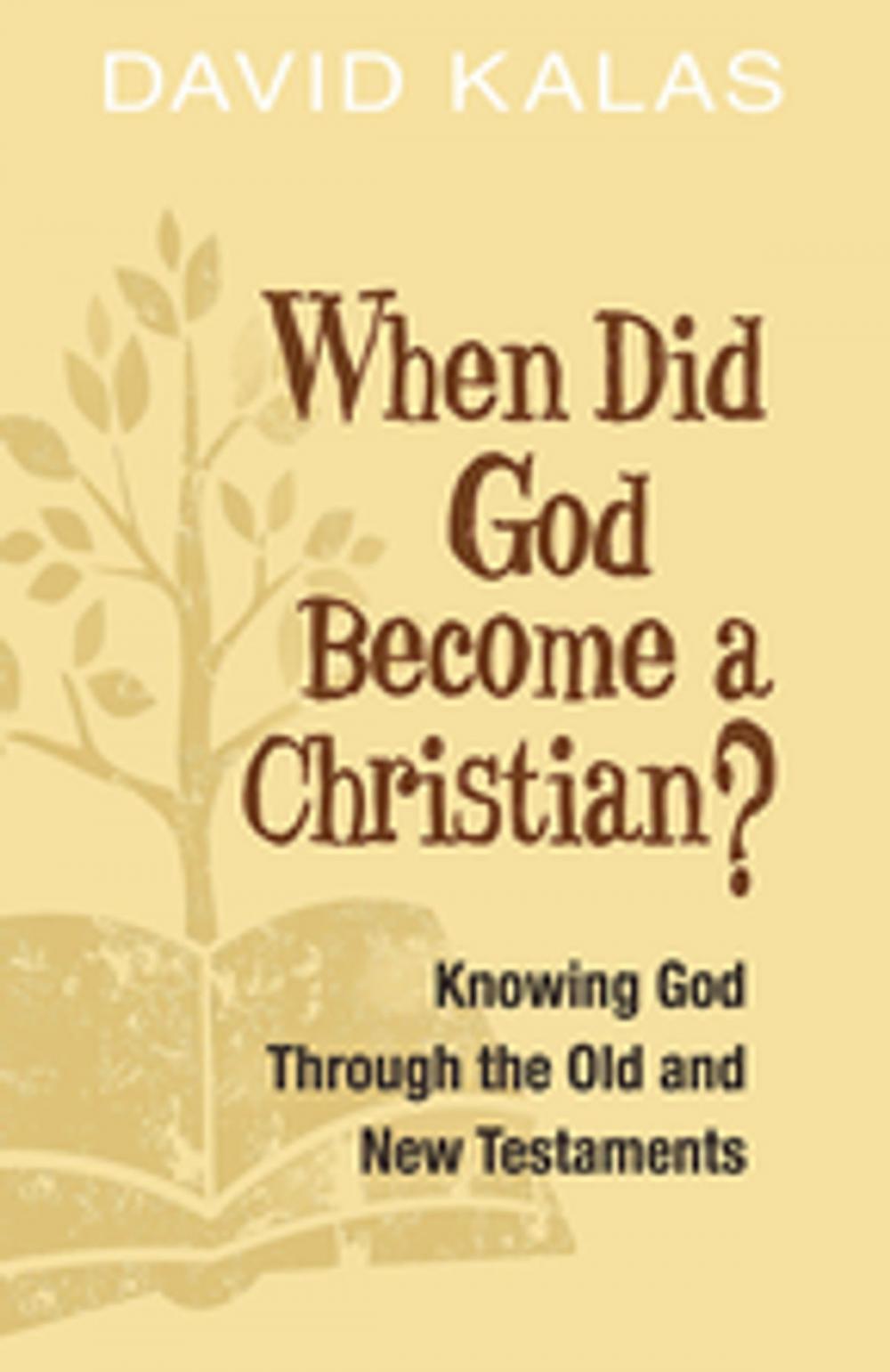 Big bigCover of When Did God Become a Christian?