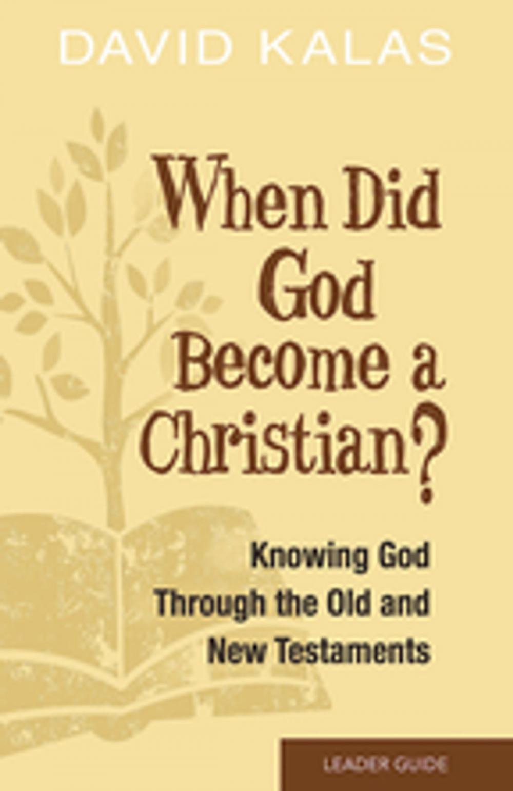 Big bigCover of When Did God Become a Christian? Leader Guide