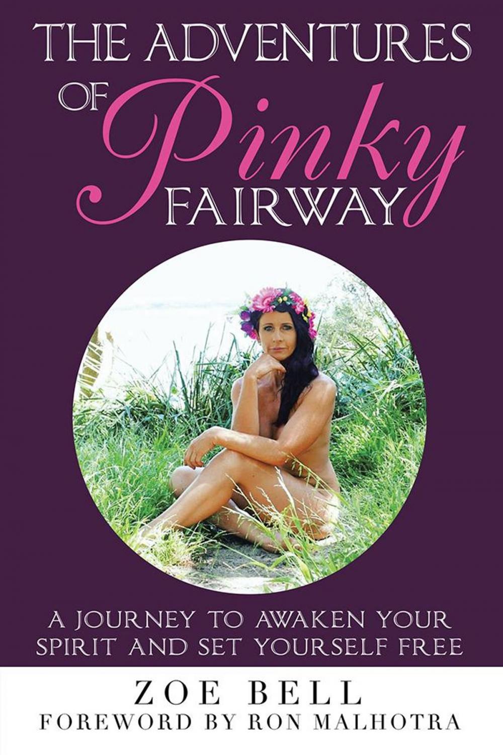 Big bigCover of The Adventures of Pinky Fairway