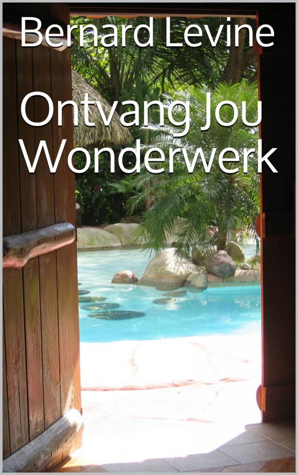 Big bigCover of Ontvang Jou Wonderwerk