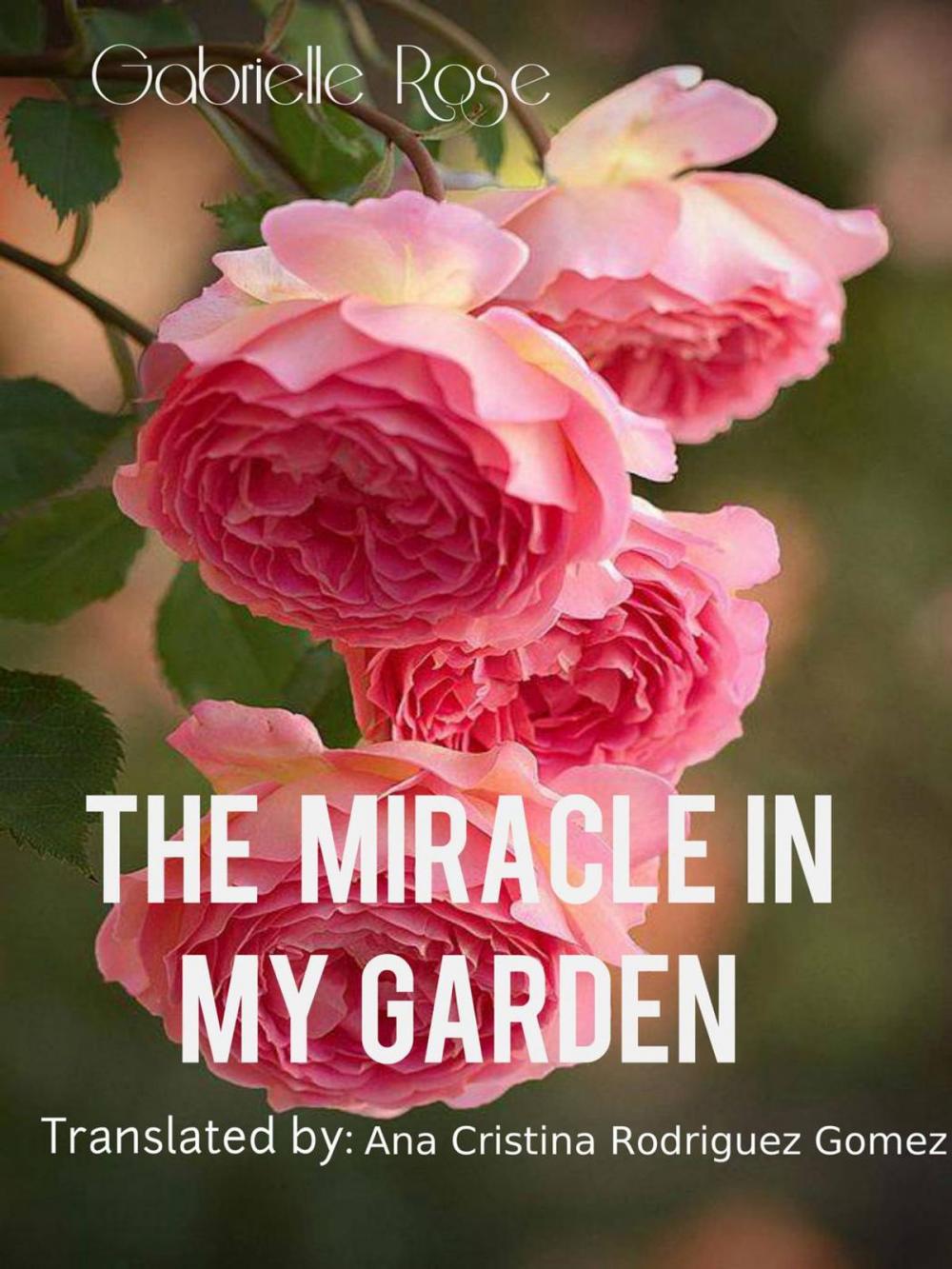 Big bigCover of The Miracle in my Garden