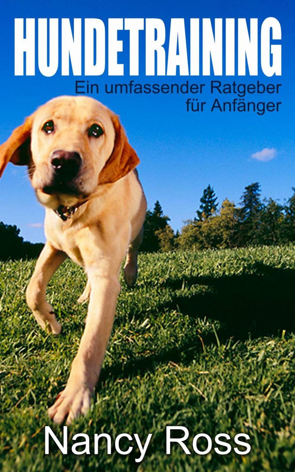 Big bigCover of Hundetraining - Ein umfassender Ratgeber für Anfänger