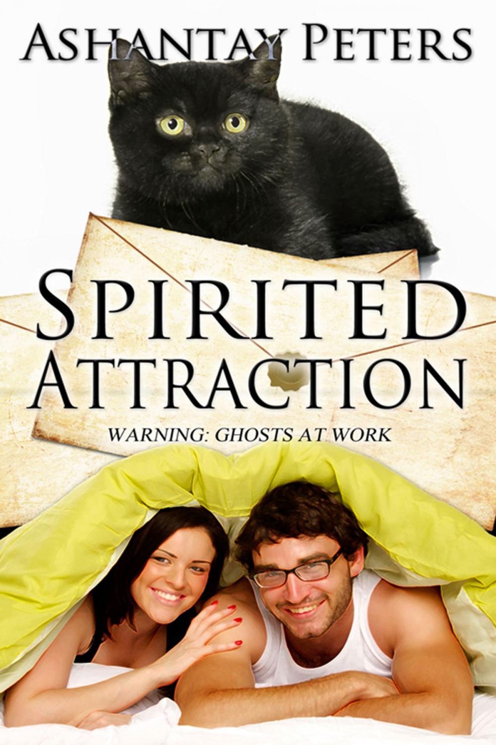 Big bigCover of Spirited Attraction