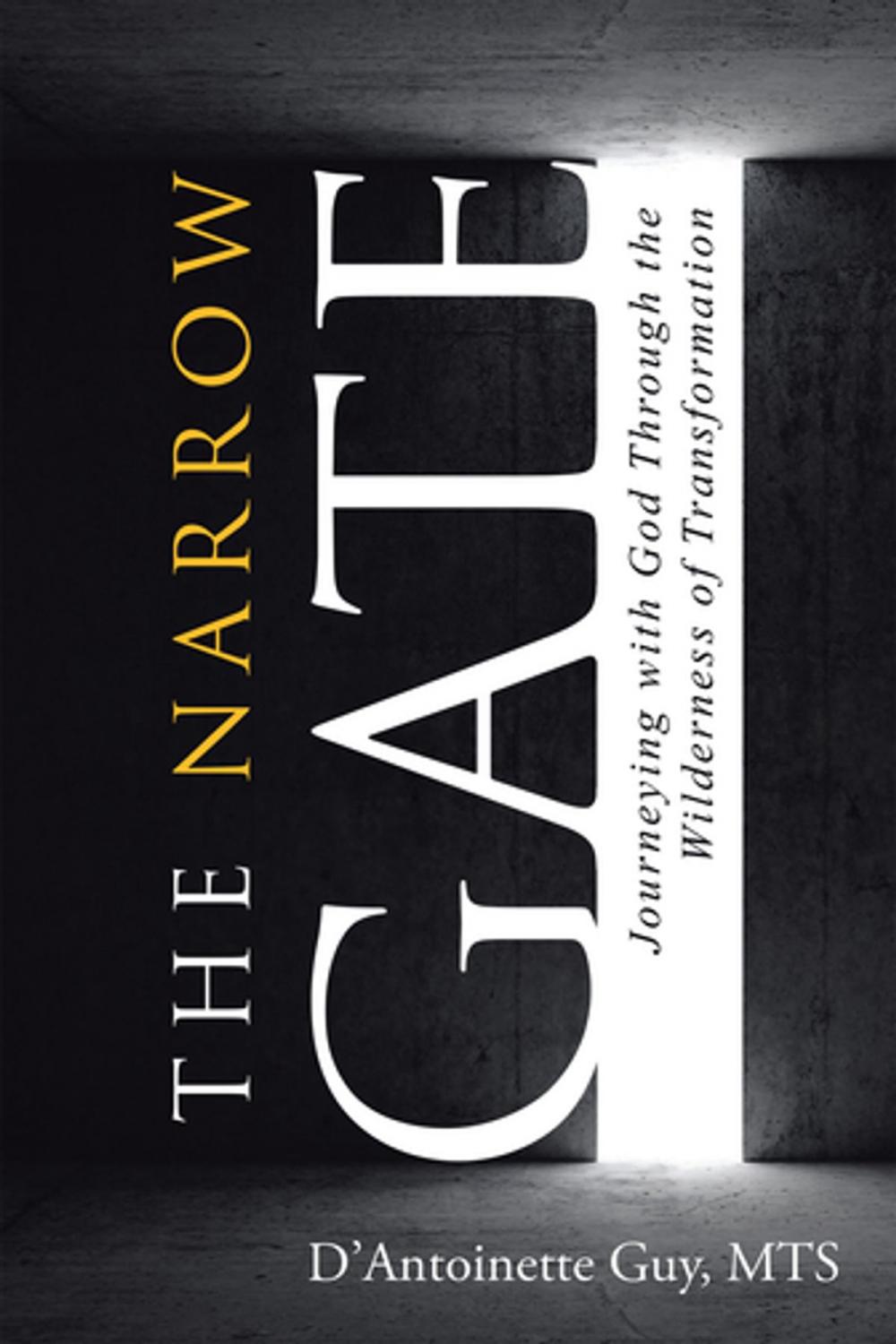 Big bigCover of The Narrow Gate