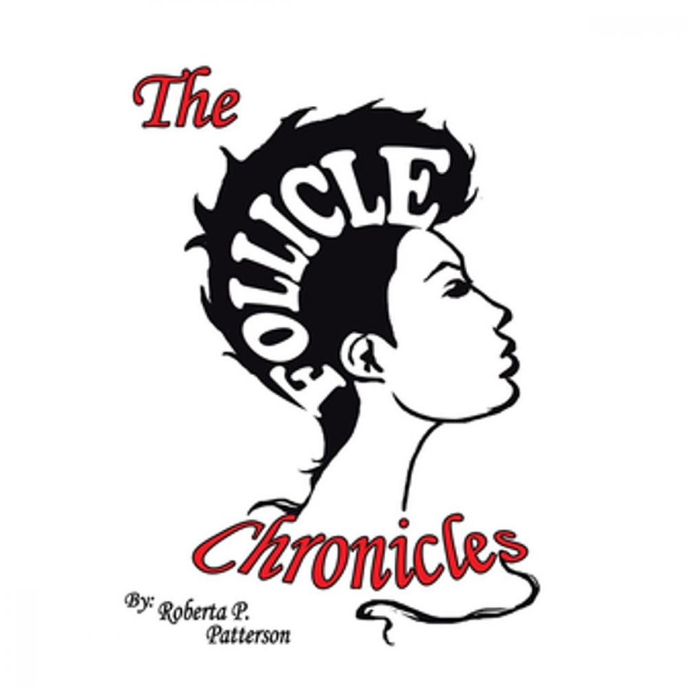 Big bigCover of The Follicle Chronicles