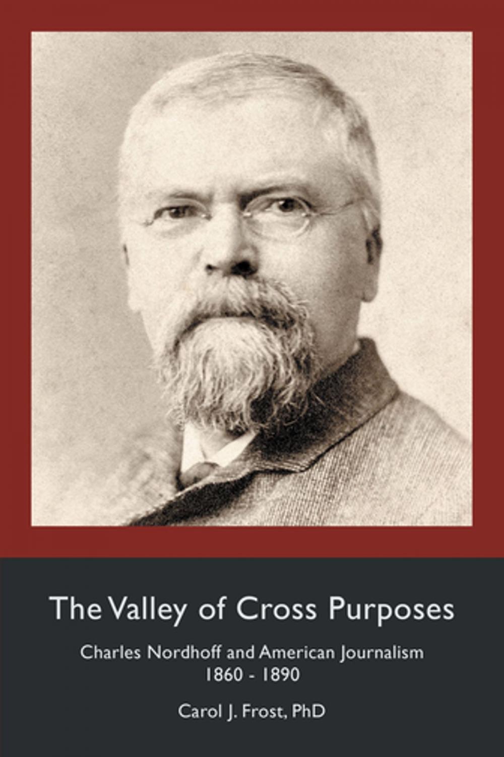 Big bigCover of The Valley of Cross Purposes