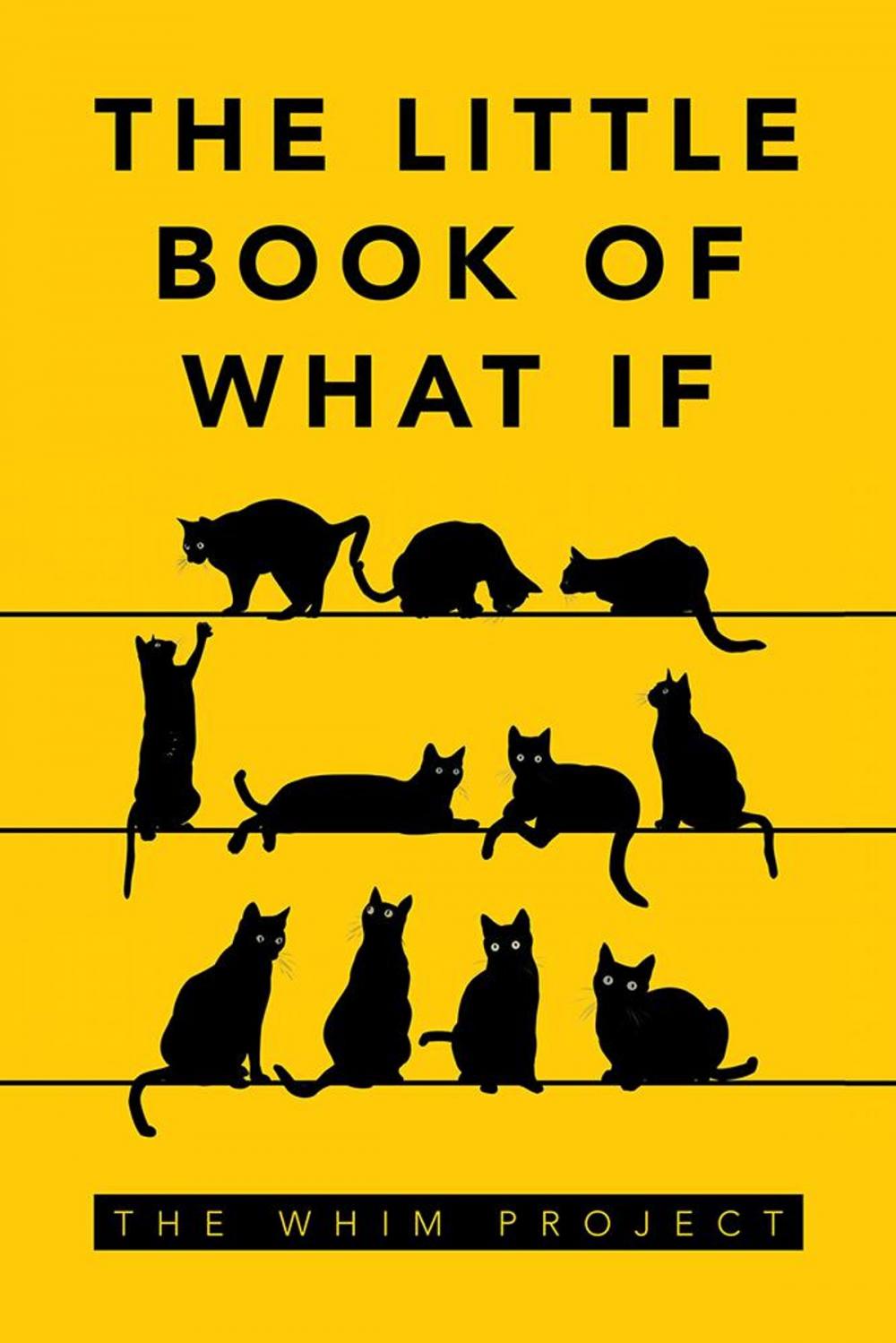 Big bigCover of The Little Book of What If