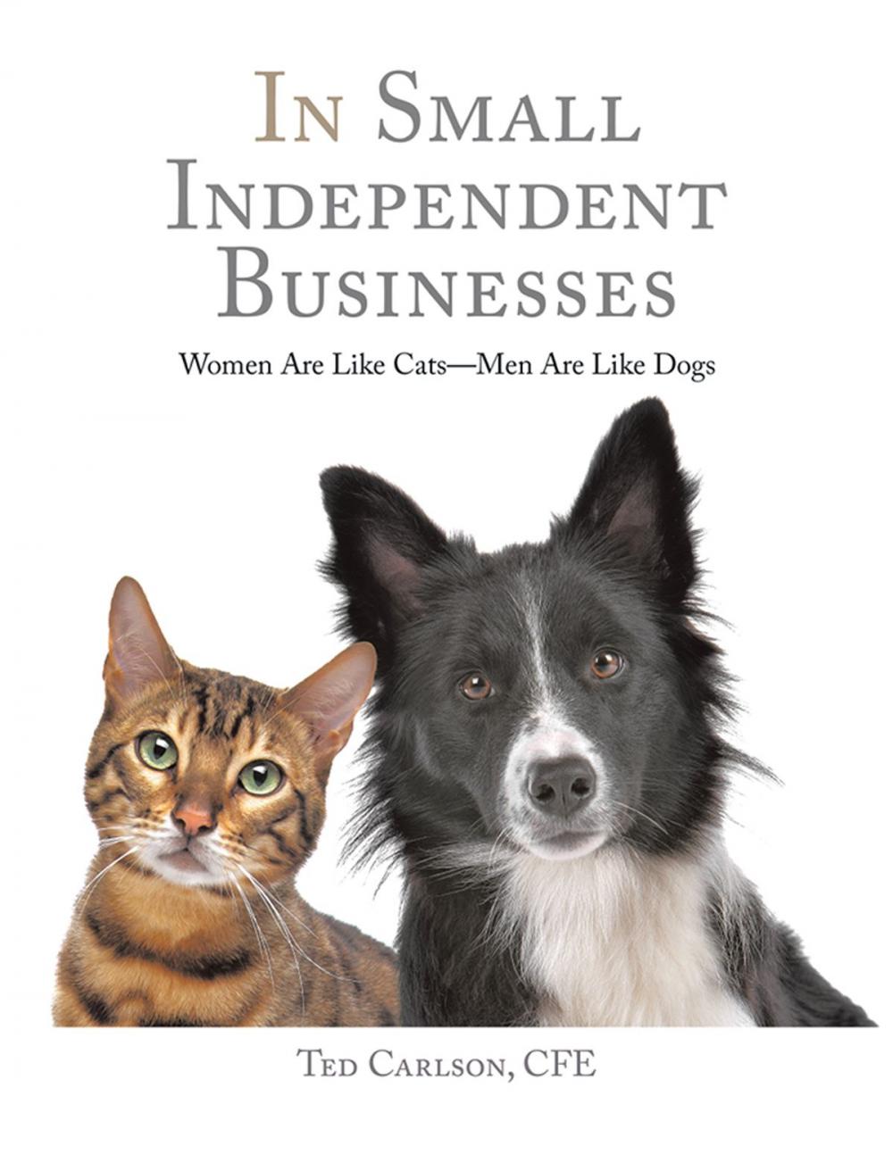 Big bigCover of In Small Independent Businesses