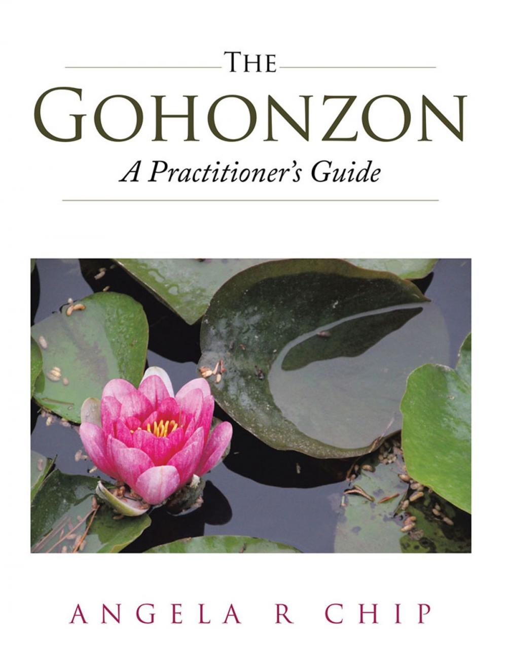 Big bigCover of The Gohonzon – a Practitioner’S Guide