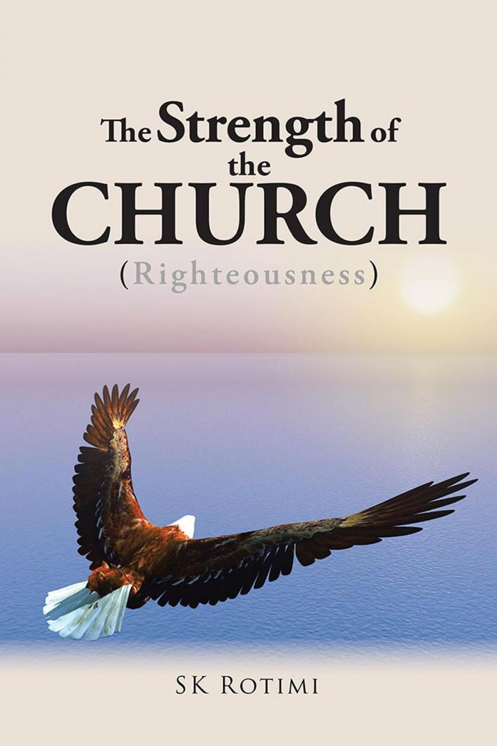 Big bigCover of The Strength of the Church