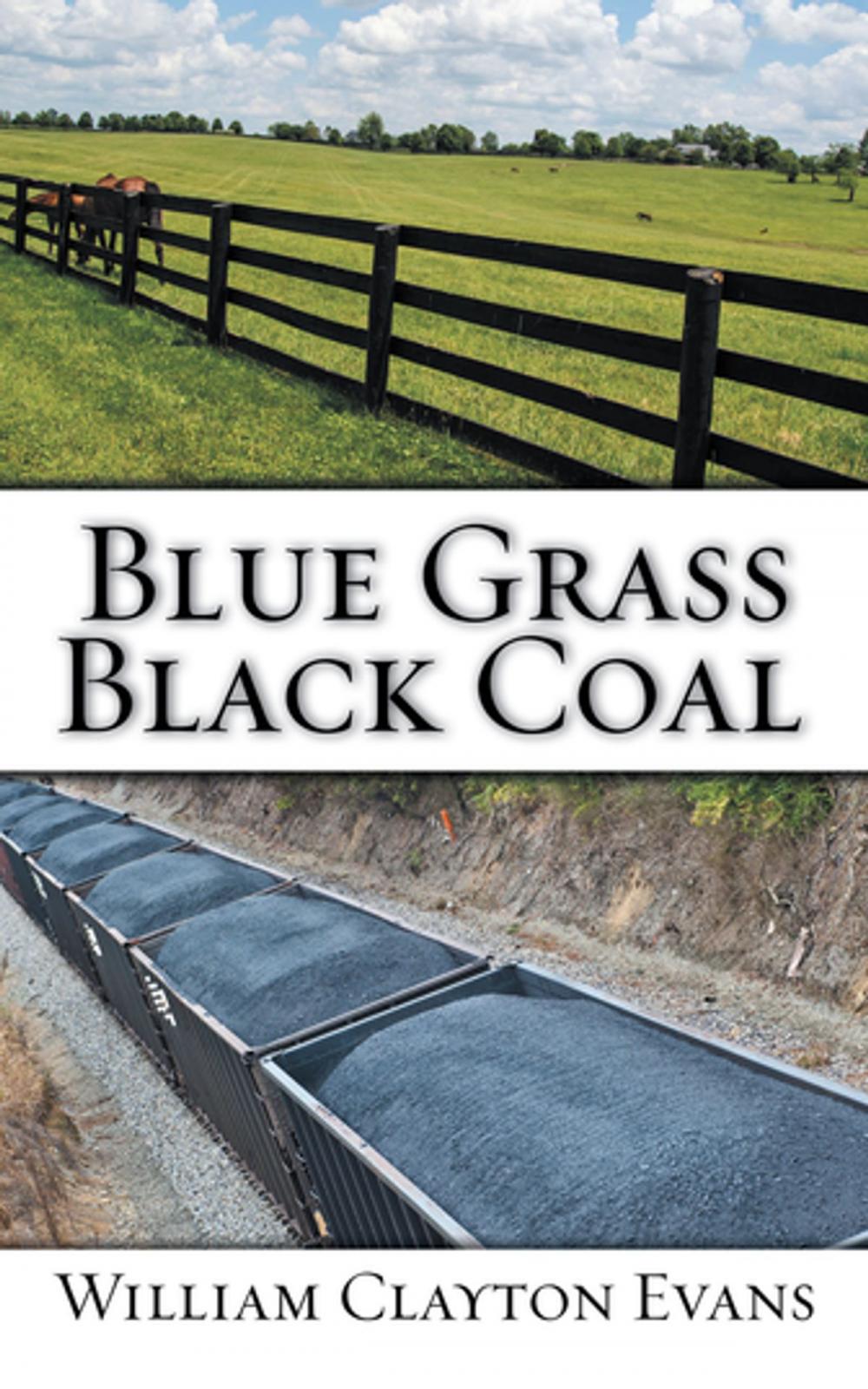 Big bigCover of Blue Grass; Black Coal