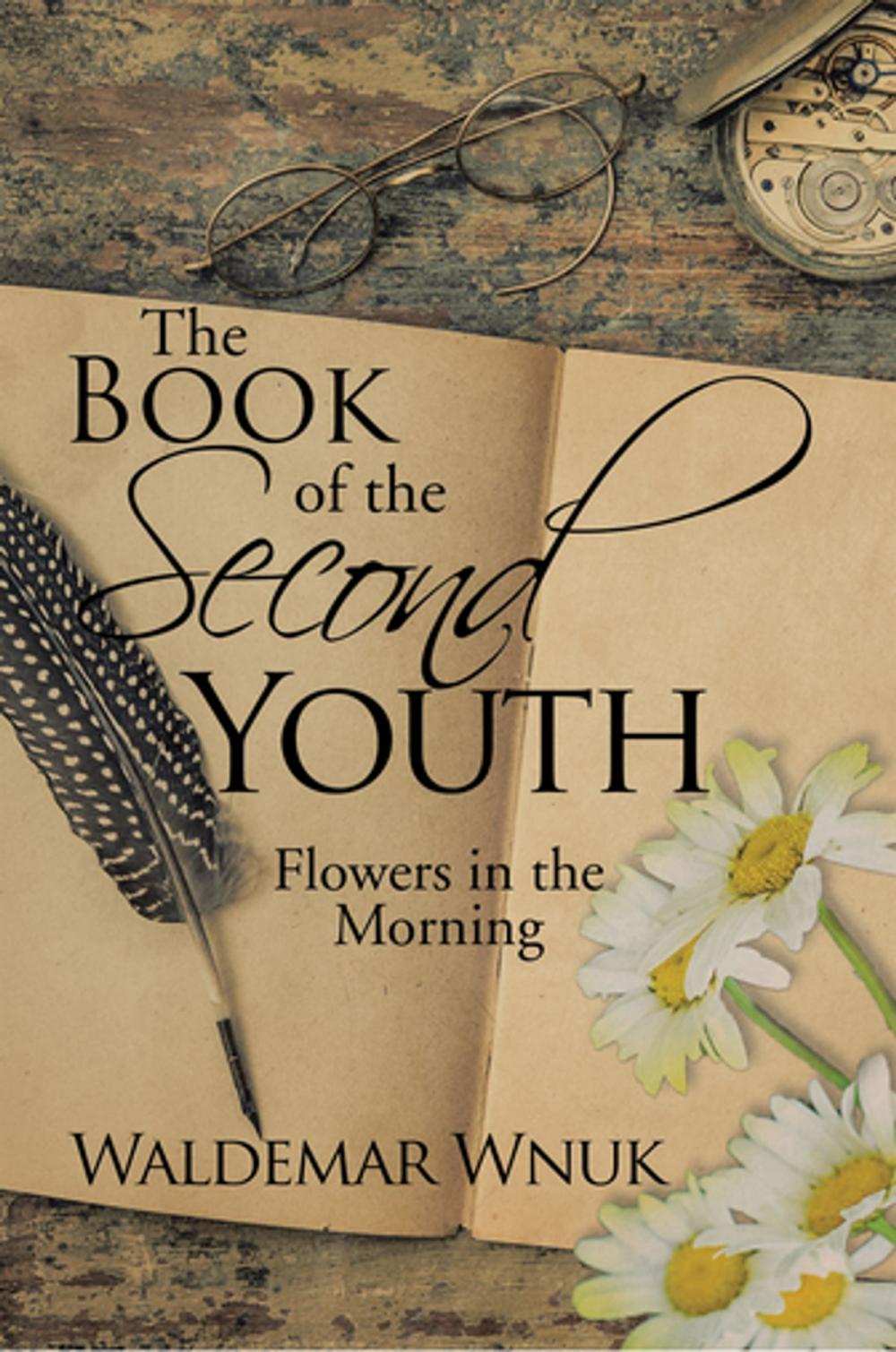 Big bigCover of The Book of the Second Youth