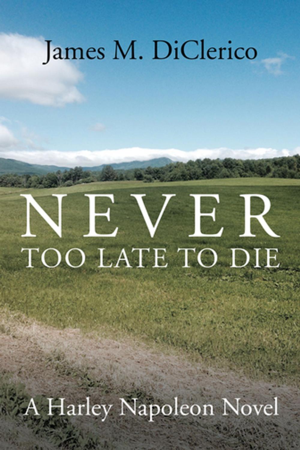 Big bigCover of Never Too Late to Die