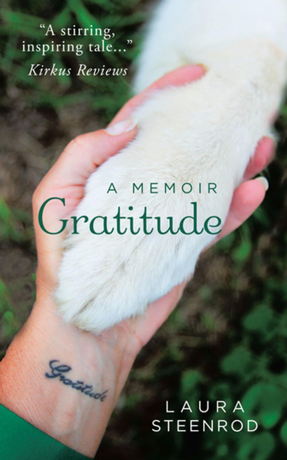 Big bigCover of Gratitude