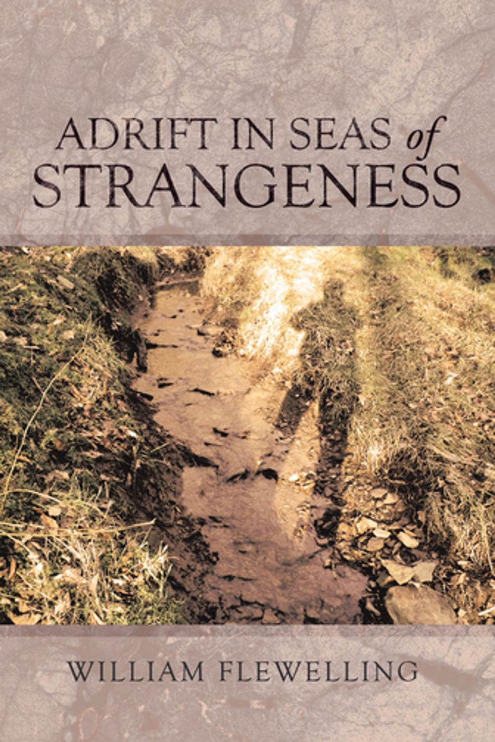 Big bigCover of Adrift in Seas of Strangeness