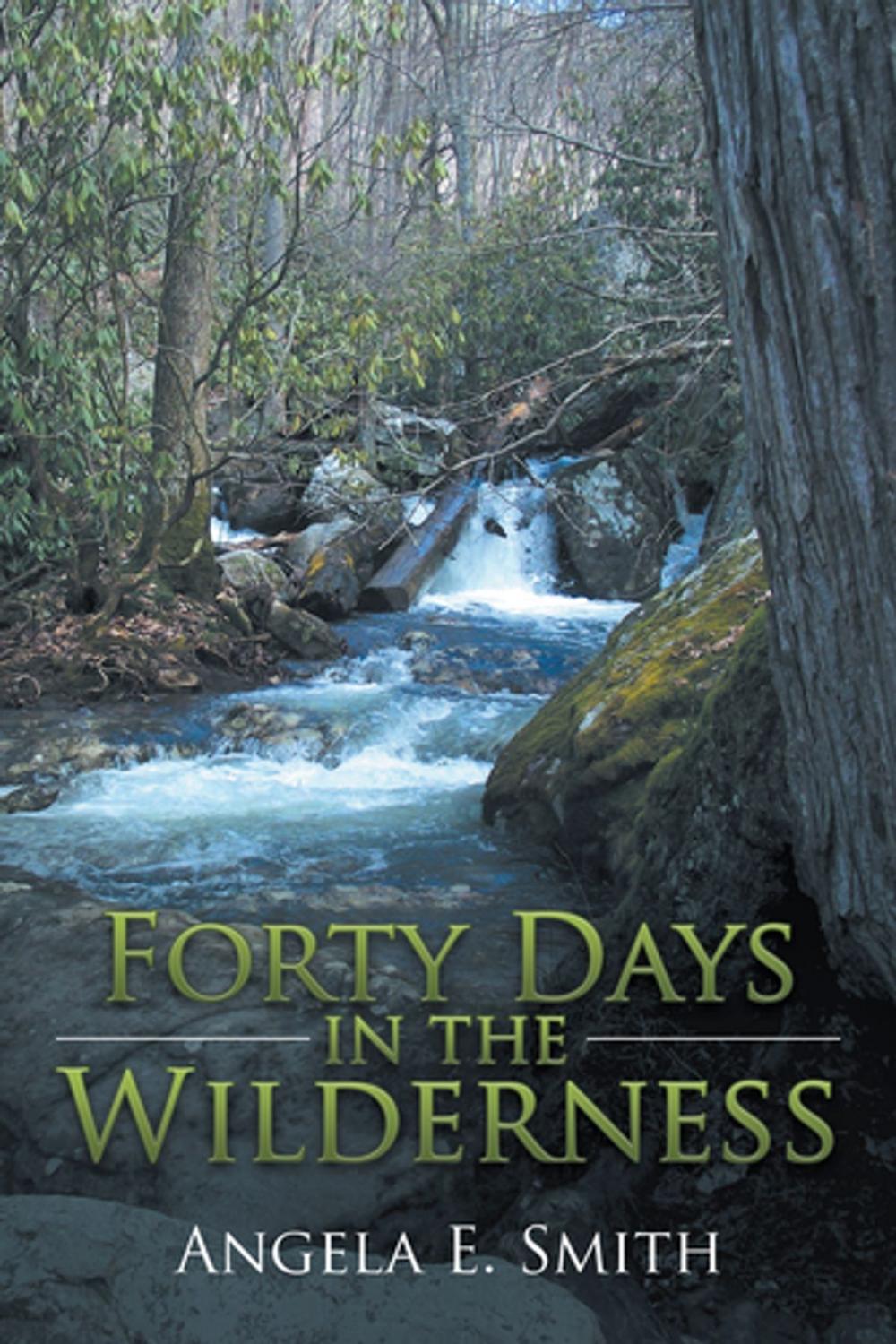 Big bigCover of Forty Days in the Wilderness