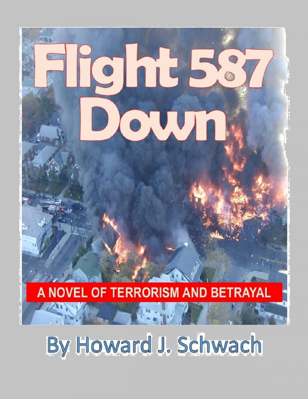 Big bigCover of Flight 587 Down