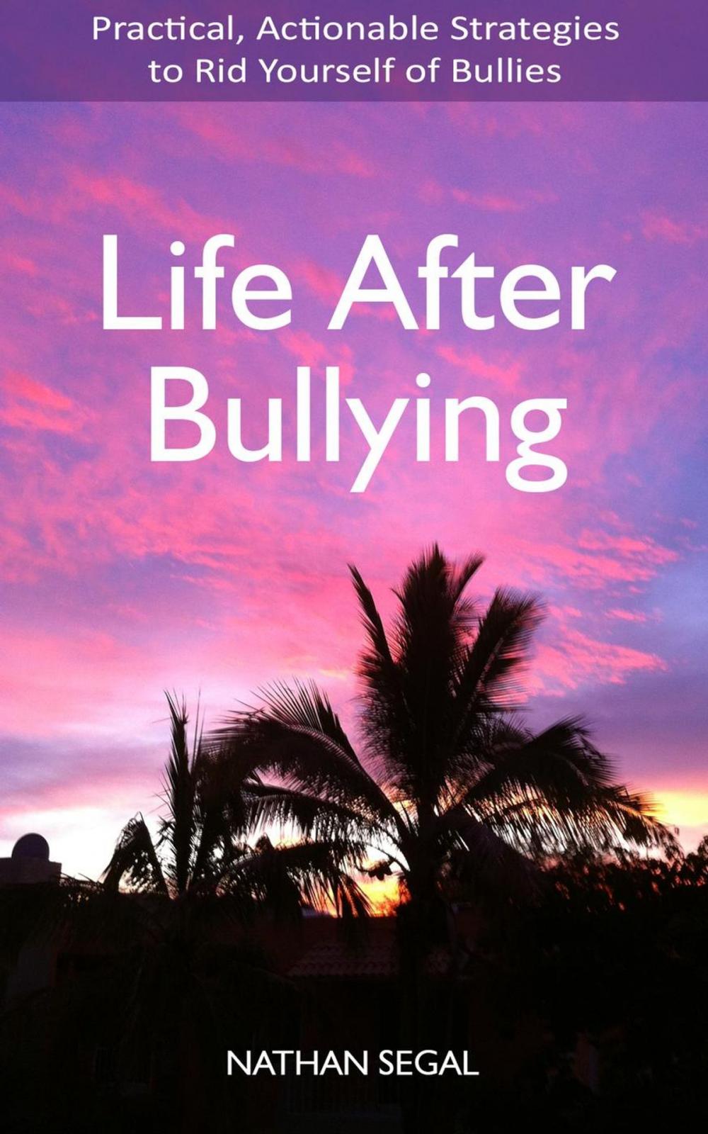 Big bigCover of Life After Bullying